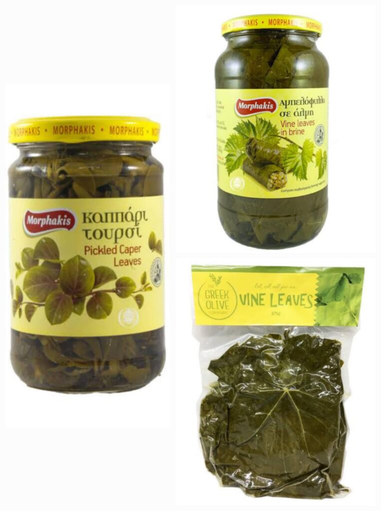 Vine Leaves